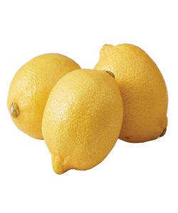 FRESH LEMON